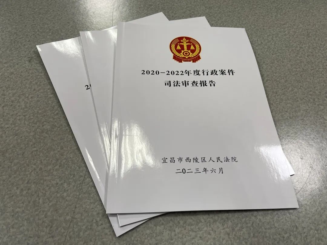 行政审判白皮书.jpg